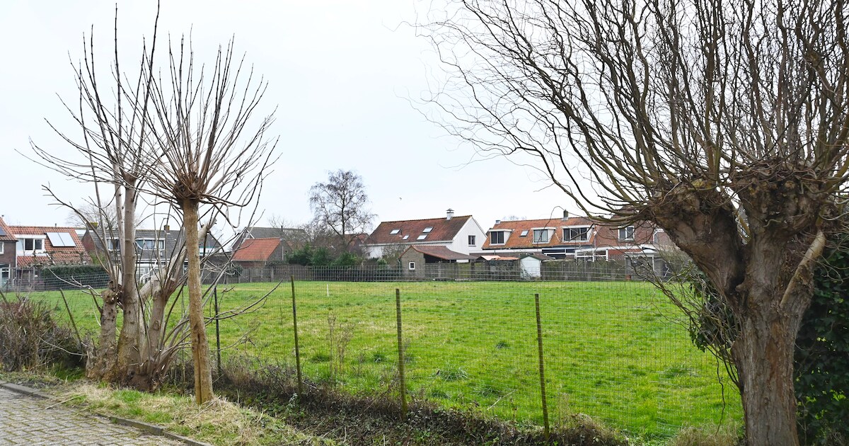 College blijft bij standpunt: het Wauwelhofje is noodzakelijk voor de ...