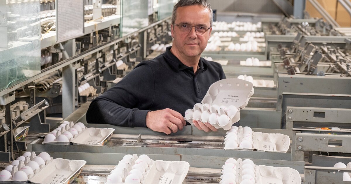 Eieren zijn veelzijdig, gezond en lekker