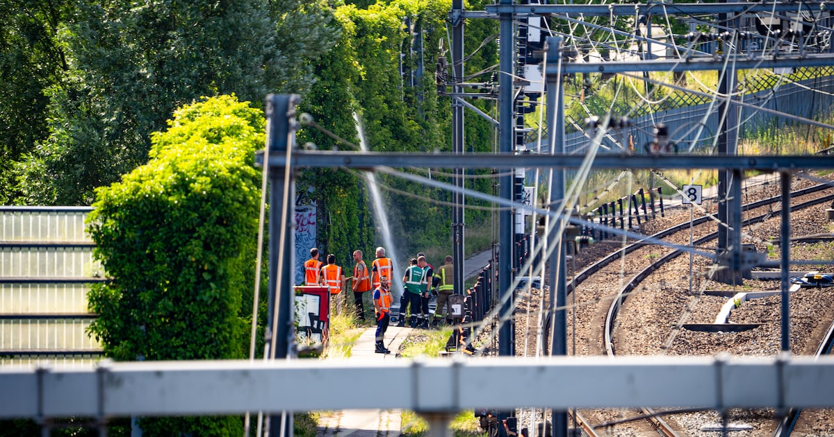 Hervatting treinverkeer tussen Rotterdam en Zwijndrecht voor vierde keer uitgesteld: ‘Monnikenwerk’