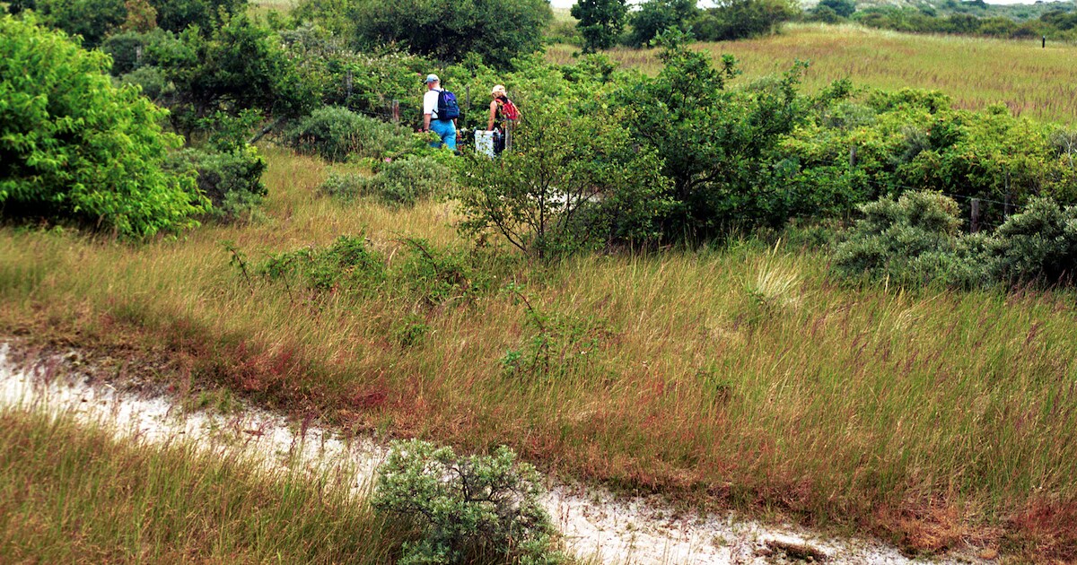 Wandelroutes uitgezet bij Oostkapelle