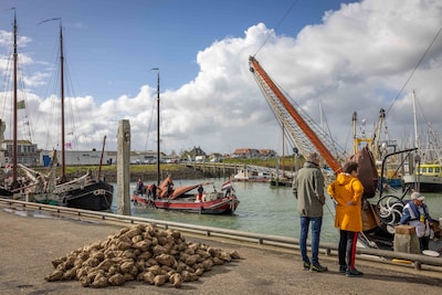 Bietentocht laat Zeeland noodgedwongen een jaartje links liggen: ‘Volgend jaar komen we weer’