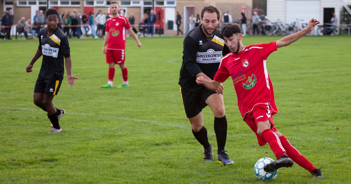 www.pzc.nl