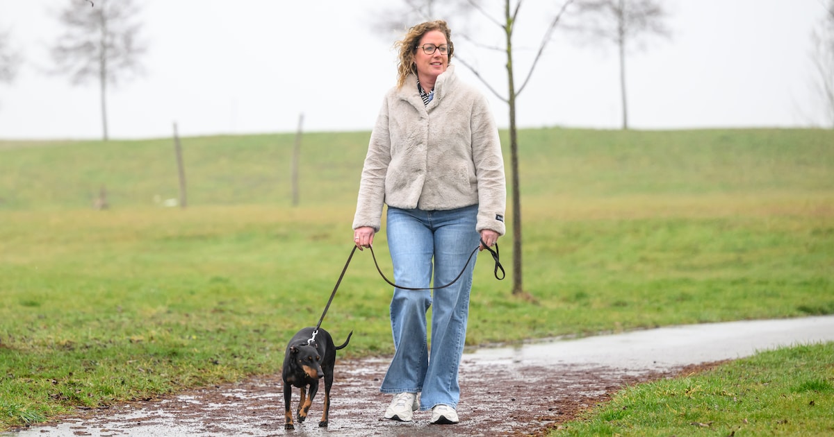Hond en kat dood in Bruinisse: wat is er aan de hand in het Riekusweelpark?