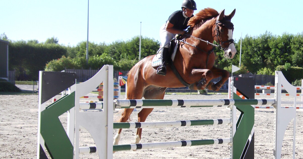 Amazone uit Vrouwenpolder trots op zelf gefokte en zelf opgeleide winnaar
