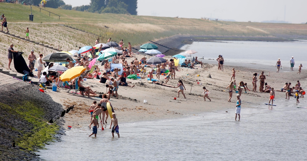 Rechter ziet geen reden voor zwemverbod langs de Zeeuwse kust