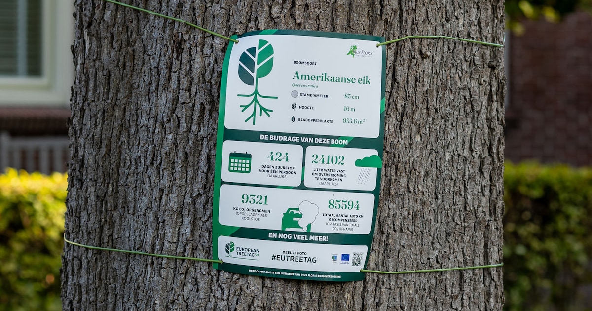 Gemeente Schouwen-Duiveland hangt TreeTags aan vijf bomen