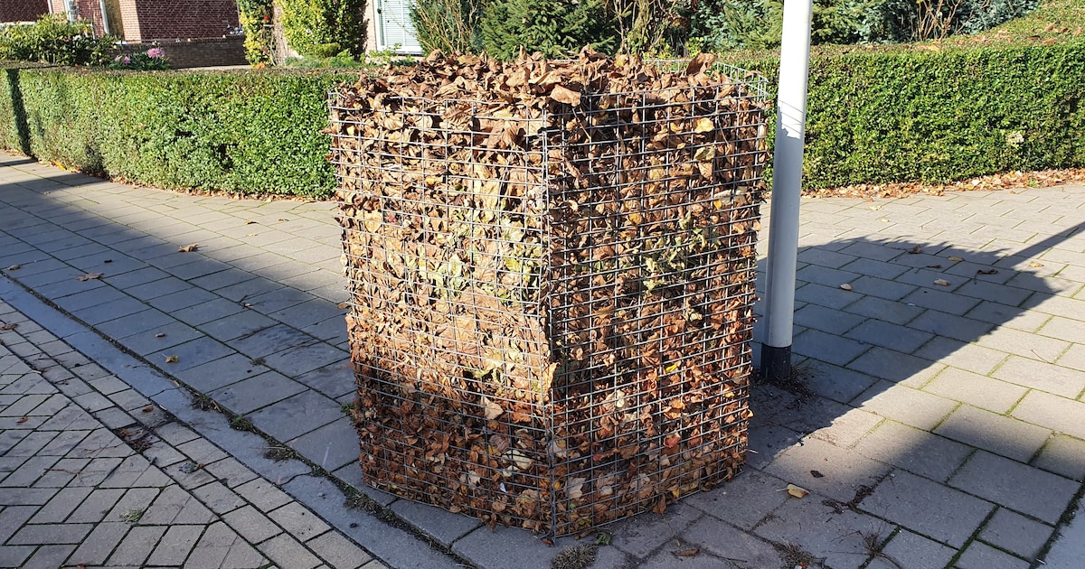 Gemeente Schouwen-Duiveland plaatst bladkorven in verschillende kernen