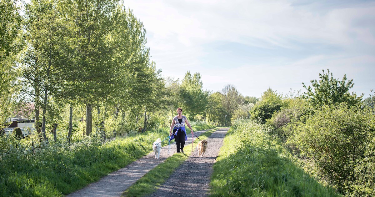 Nieuwehovendijk Nieuwvliet mag voorlopig niet geasfalteerd