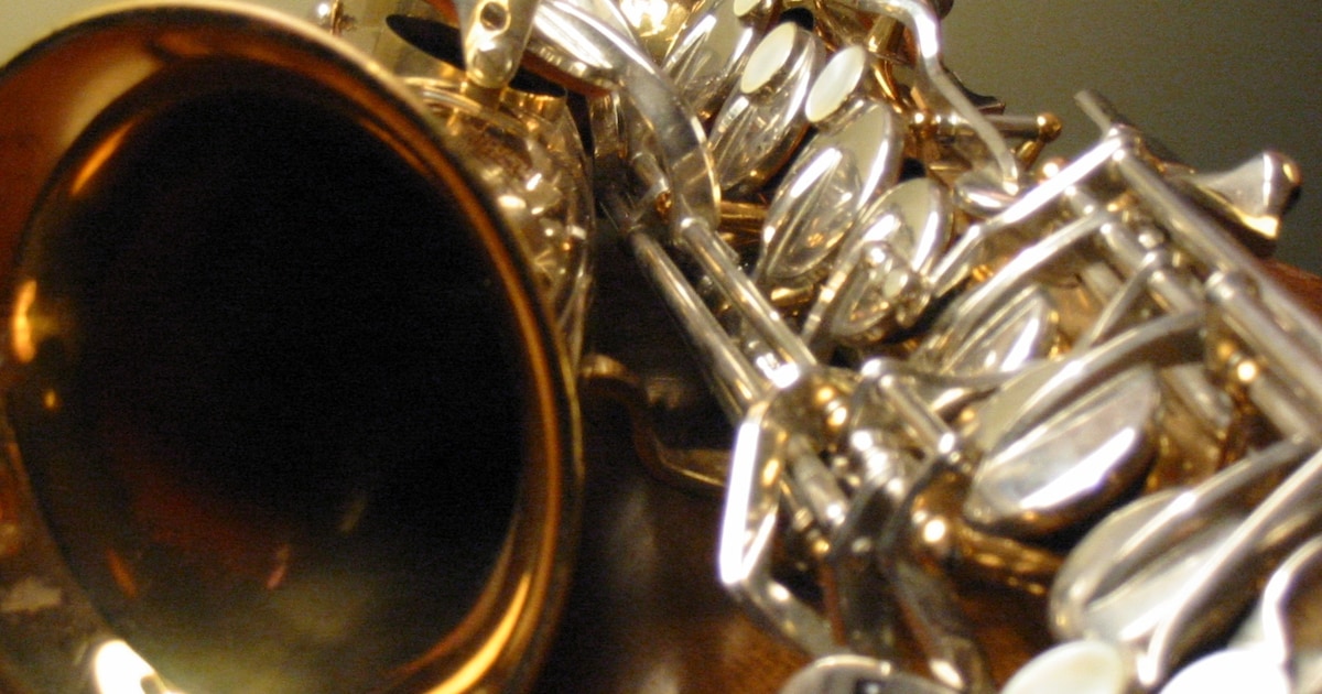 Jaaruitvoering muziekvereniging Apollo in Brouwershaven: Apollo’s Wilde Wereld