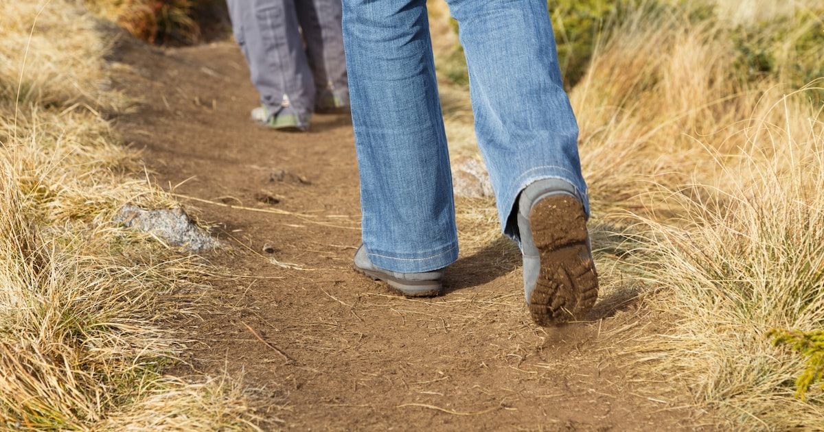 Snerttocht in Sint Maartensdijk: wandelen door de Thoolse polder