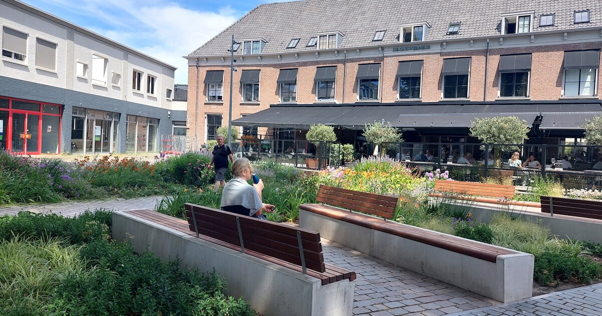 In geur en kleur: genieten van het Gouvernementsplein 2.0