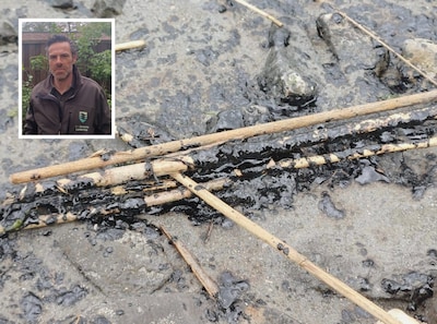 Vrees voor milieuramp na lek in Antwerpse haven, zware stookolie in natuurgebied Saeftinghe