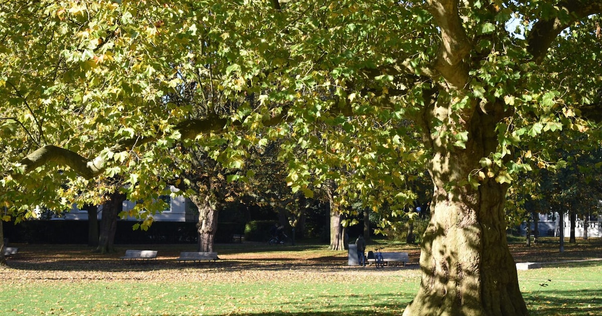 Zijn de warme dagen voorbij? Dit is de weersverwachting voor september in Middelburg