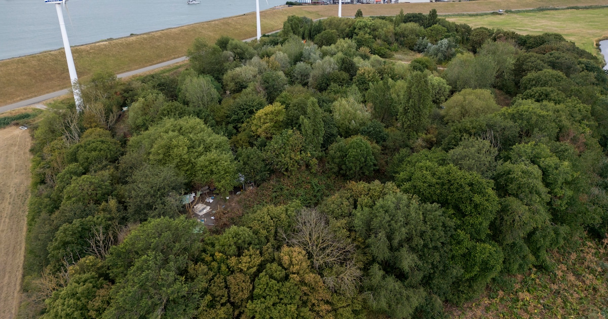 Vlissingse daklozen en verslaafden vinden plek op de ‘Flakkaberg’, een verborgen tentenkamp
