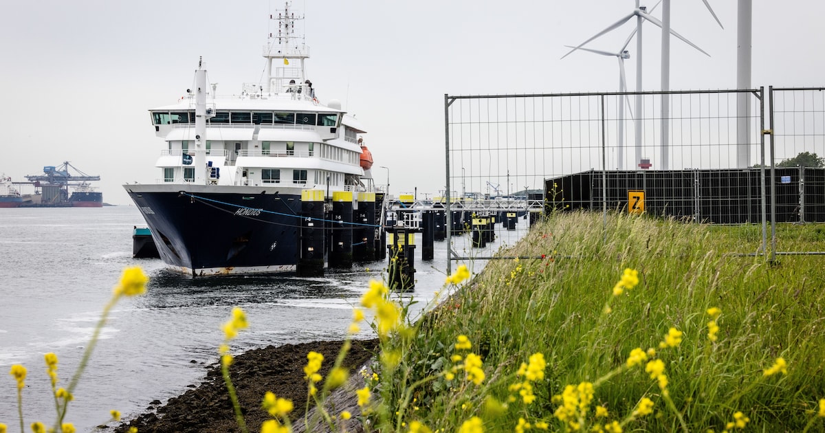 Topman Vlissings Oceanwide Expeditions reageert op virusuitbraak op Hondius: ‘Geen knaagdieren aange