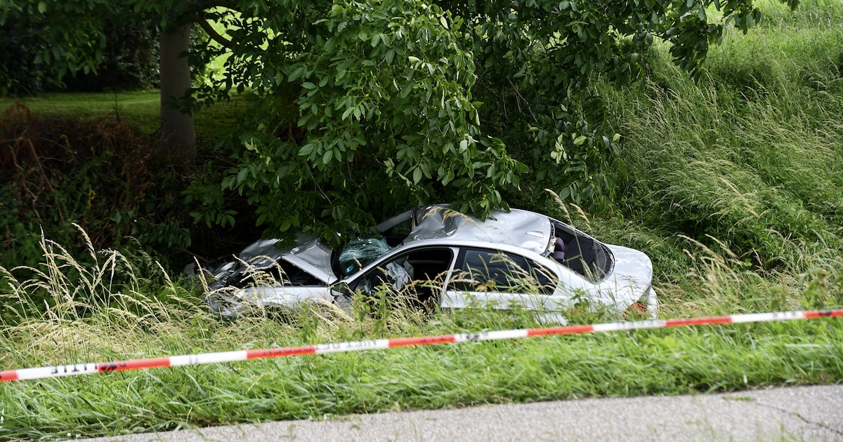 Verdachte (19) veroorzaken ongeluk bij Vogelwaarde morgen voorgeleid