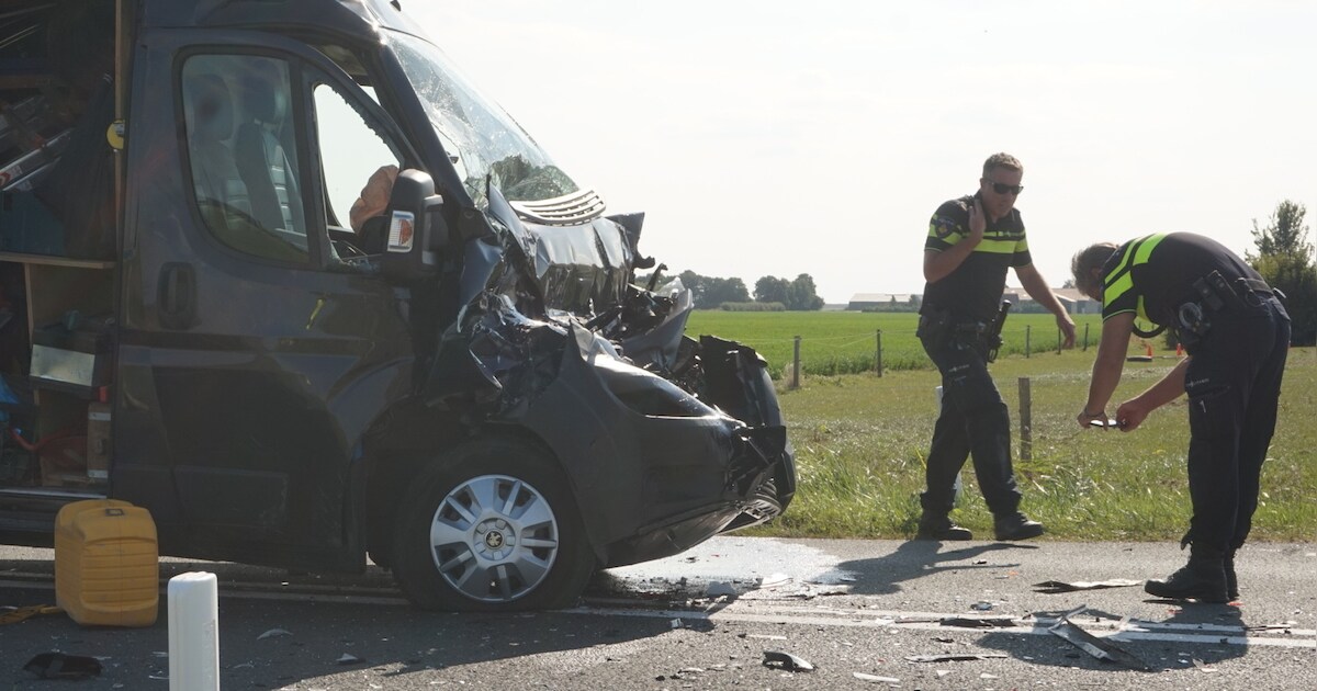 Auto's remmen voor overstekende paarden: twee gewonden