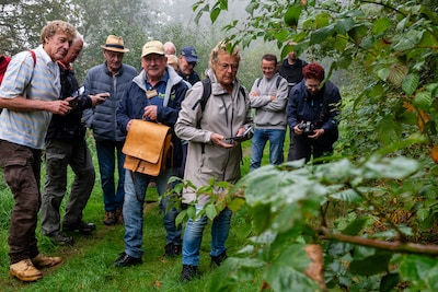 Paddenstoelen, mist en een moordverhaal: deze excursie in Oudland heeft het allemaal