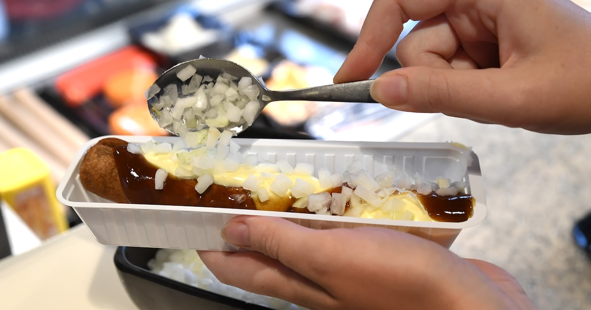 Dordtse lezers over frikandelstandbeeld: ludiek eerbetoon of onzinnige uitgave