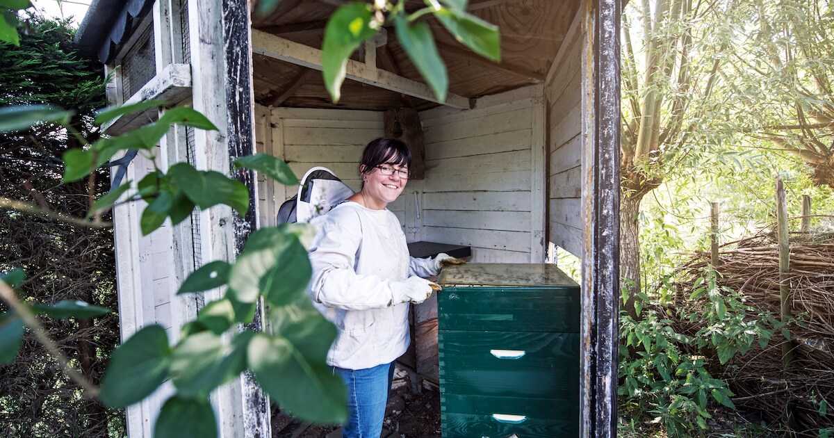 Je ziet ze vliegen in de tuin van Nathalie