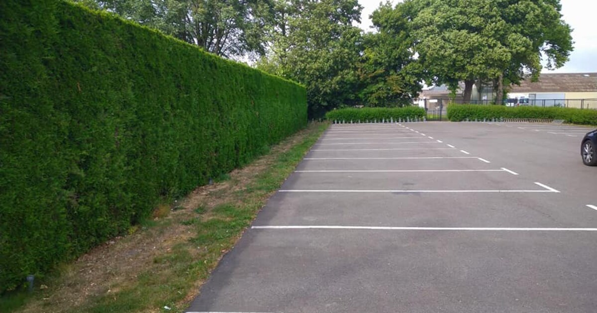 Hangjongeren hebben spijt en ruimen eigen rommel op parkeerplaats Sint Jansteen op