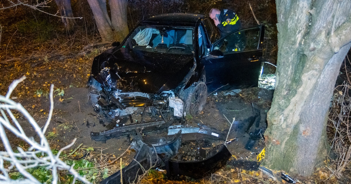 Auto tegen boom bij afrit A20 in Schiedam; inzittenden slaan op de vlucht