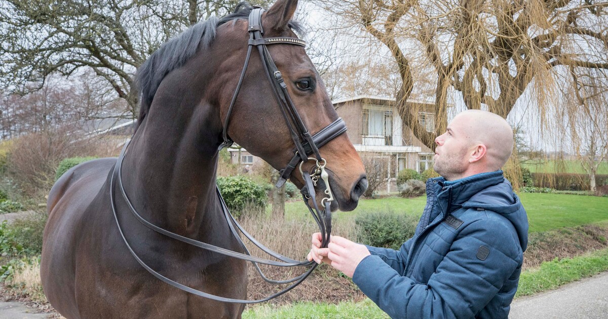 Paardenarts opent in Kortgene een praktijk met ruimte voor opname