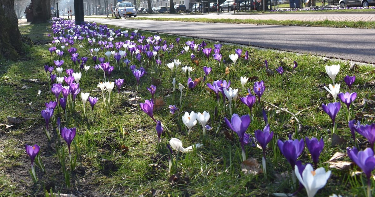 Zachter dan normaal: dit is de weersverwachting voor Middelburg in april