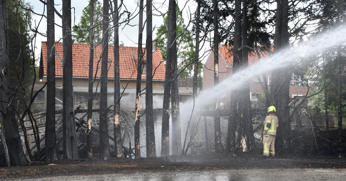 Bijgebouw van woning Waterlandkerkje verwoest door brand