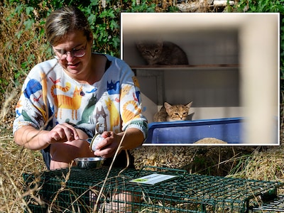 Maaike (39) en Amanda (40) zien het kattenleed dagelijks van dichtbij: ‘Hoe kun je dit in een beschaafd land toestaan?’