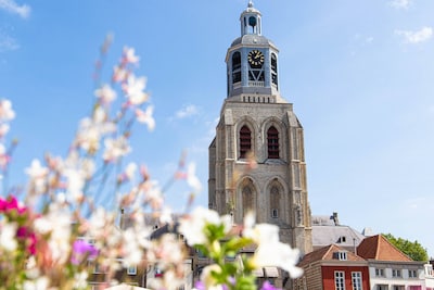 Zonnestralen vangen: Bergs genieten van de zon op woensdag