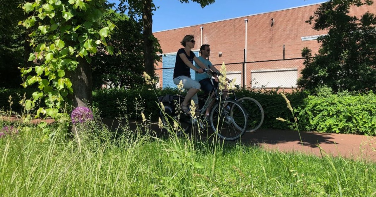 Wel of geen niesaanval als je naar buiten gaat: check hier hoeveel pollen in de Bergse lucht zweven 