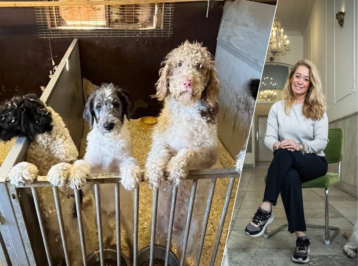 Karen Soeters (rechts), oprichter van House of Animals, verdedigde in de rechtbank de publicatie van beelden die misstanden bij hondenfokkerij De Wildert zouden tonen.