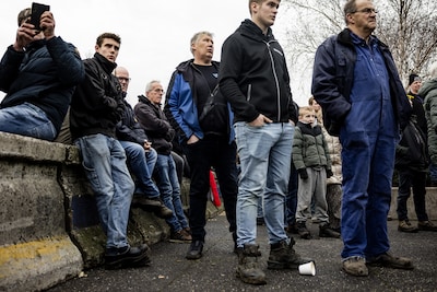 Brabant zet strengere stikstofregels door, ondanks protesterende boeren
