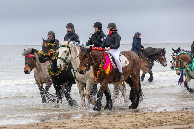 Straô Renesse vindt plaats op 14 februari | Regio | PZC.nl