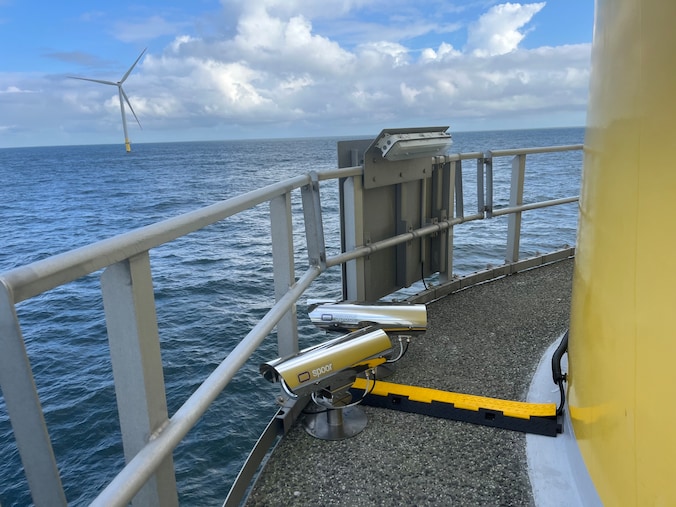 How Offshore Wind Turbines Affect Bird Populations