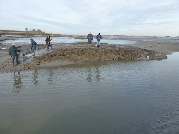 Zeeuwse amateurarcheologen over hun werk: ‘Skeletten schoonborstelen is ...