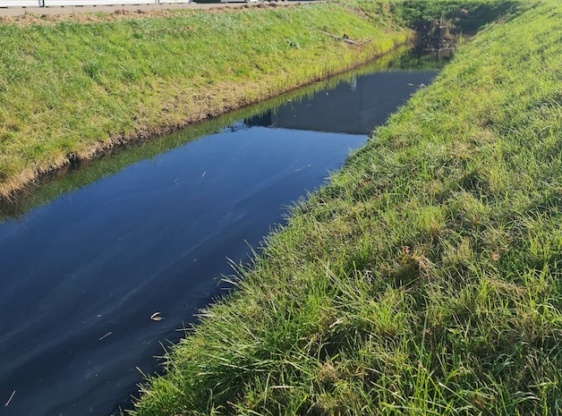 Stank van rotte eieren, vissterfte en een noodkreet in de raad: dit is ...