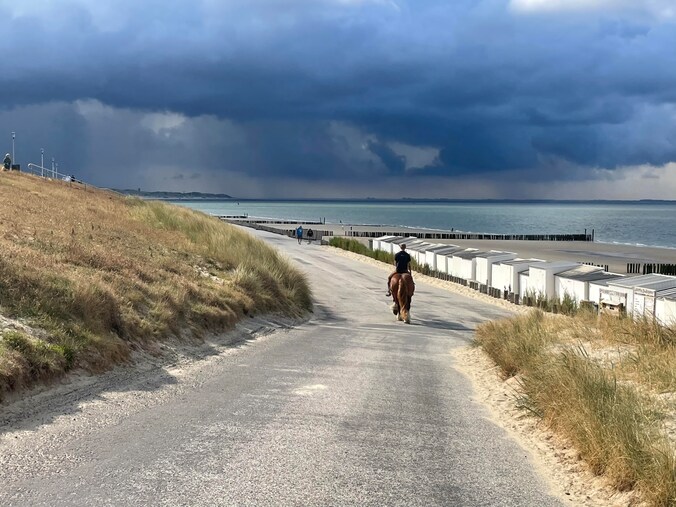 Absoluut verbod Domburgse zomerwoning nu nog twijfelachtig | Regio | PZC.nl