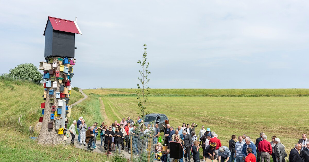 Tientallen vogelhuisjes vormen een fraai kunstwerk bij Kats