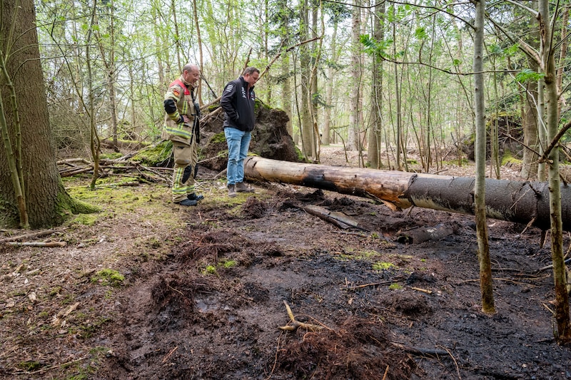 Brandstichting in de Clingse bossen in april 2025