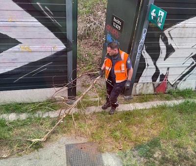 Trein strandt door stapel takken op het spoor: ‘Nog een geluk dat de trein niet ontspoorde’
