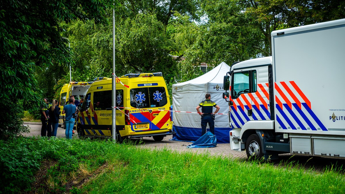 Mijn moeder is vermoord' | Binnenland | pzc.nl