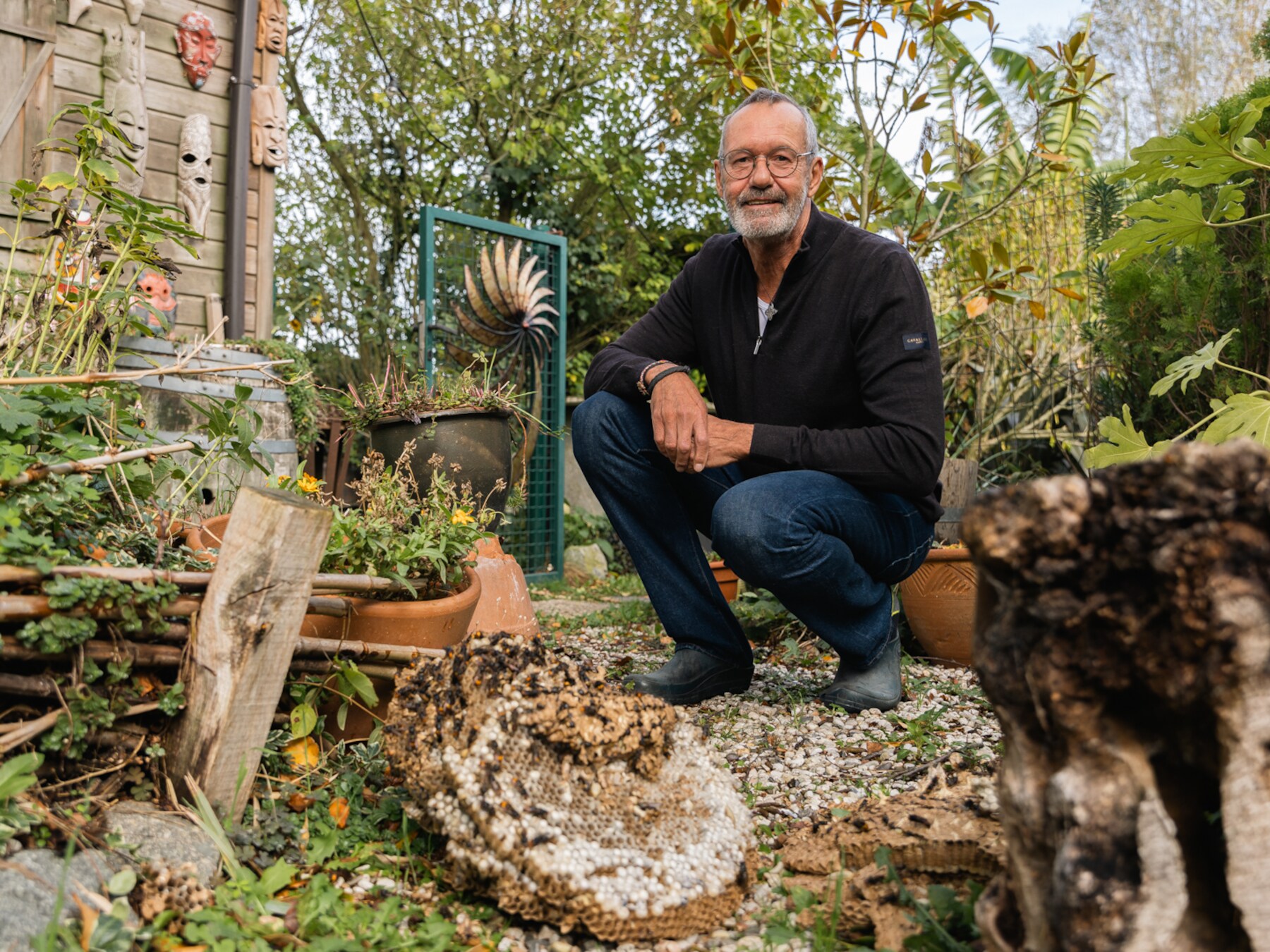 Tijdrovend én duur proces om hoornaars te bestrijden, maar Raymond wil wel dat het nest uit zijn tuin verdwijnt