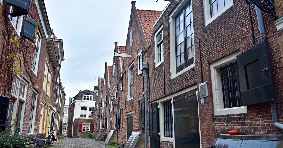 Zie je nooit: in de Kuiperspoort staat een huis te koop