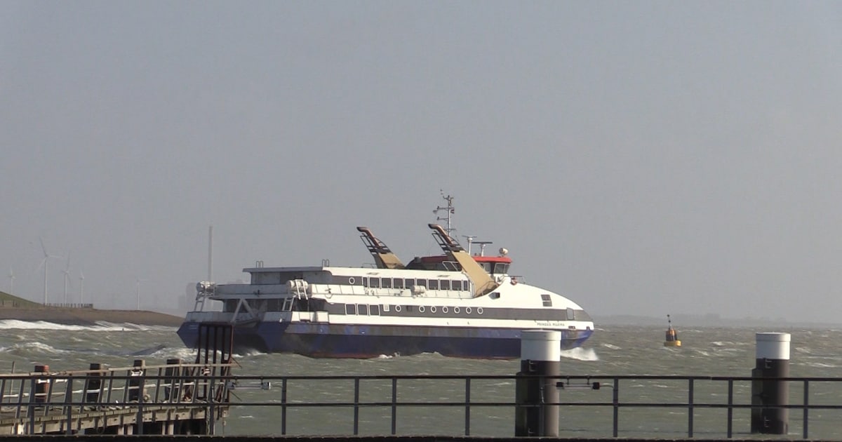 Site van Westerschelde Ferry weer bereikbaar na storing
