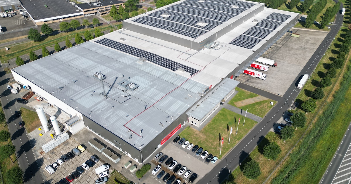 Hypermoderne kaasfabriek in Sint Jansteen: volledig geautomatiseerd en goed voor 100 miljoen kilo pe