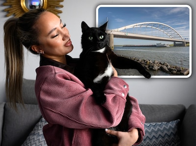 Baasjes zoeken wanhopig naar vermiste katten, maar dieren duiken op kilometers verderop op: ‘Iemand 
