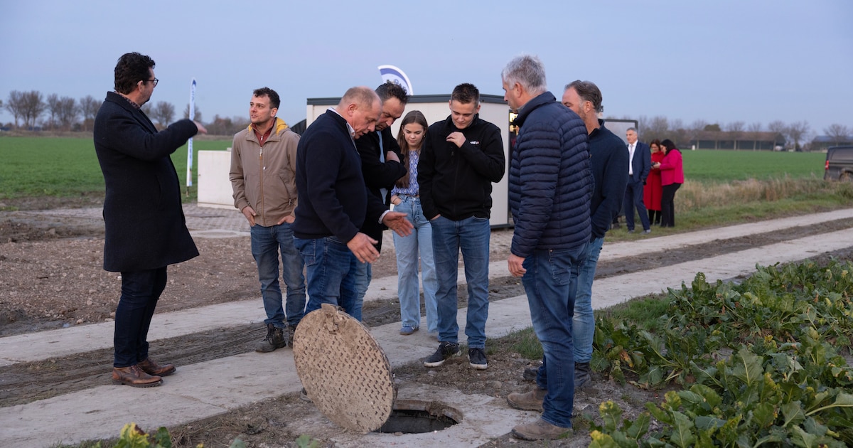 Van zoetwatertekort naar zelfvoorzienend: dit is dé oplossing van Marianne en Coen uit Dreischor