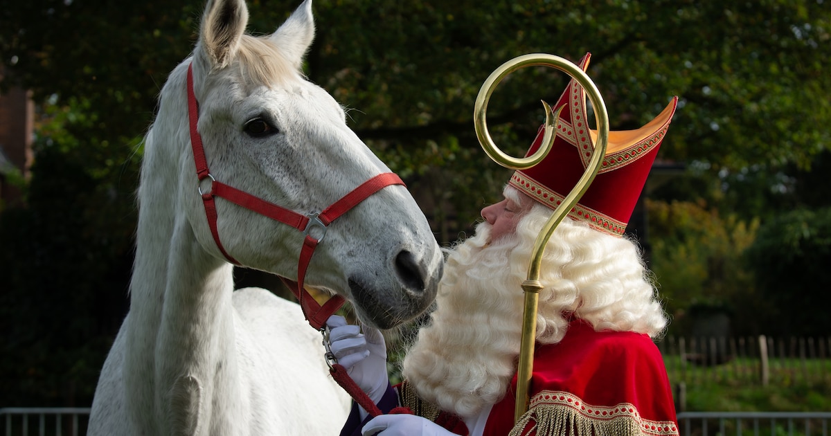 Sinterklaas komt aan in Bergen op Zoom op 15 november